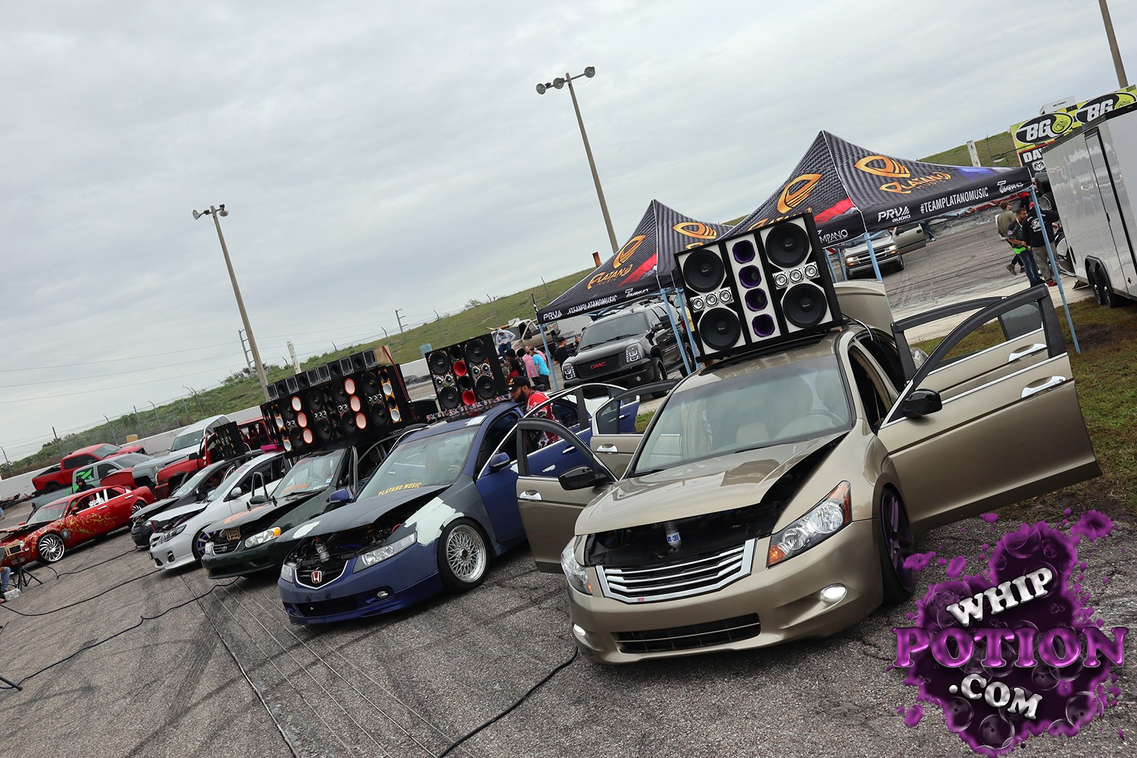 A row of custom sedans and coupes lined up with serious sound pressure, but the beige Honda Accord in front grabs you first with its wide-open doors, deep bronze paint, purple wheels, and a trunk-mounted speaker wall. The blue Honda beside it wears a body kit, mesh wheels, and the same competition-ready audio setup, giving the whole lineup a hard-hitting street-show vibe.